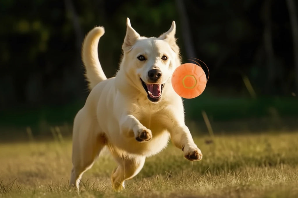 Smart Bouncing Pet Ball
