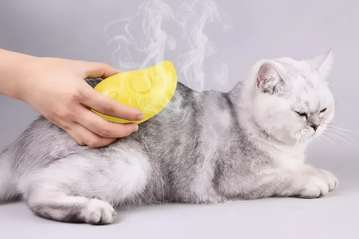 Refillable Spray Grooming Brush for Pets