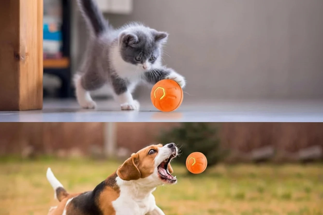 Smart Bouncing Pet Ball