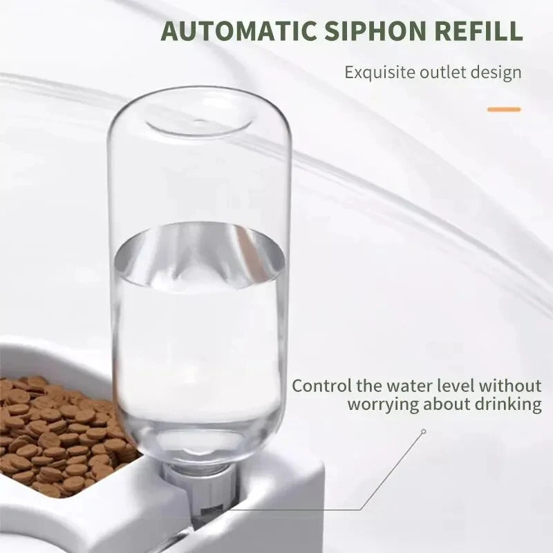Pet Hydration & Feeding Bowl