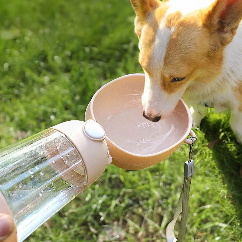 Portable Pet Water Bottle for Cats & Dogs