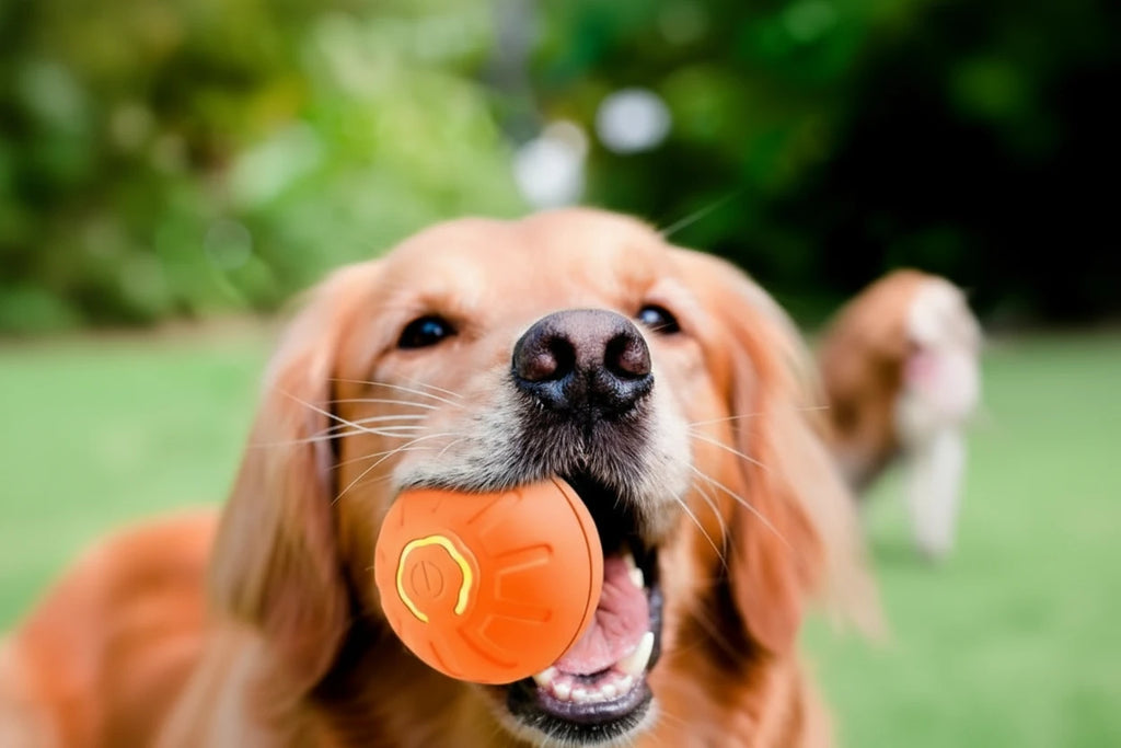Smart Bouncing Pet Ball